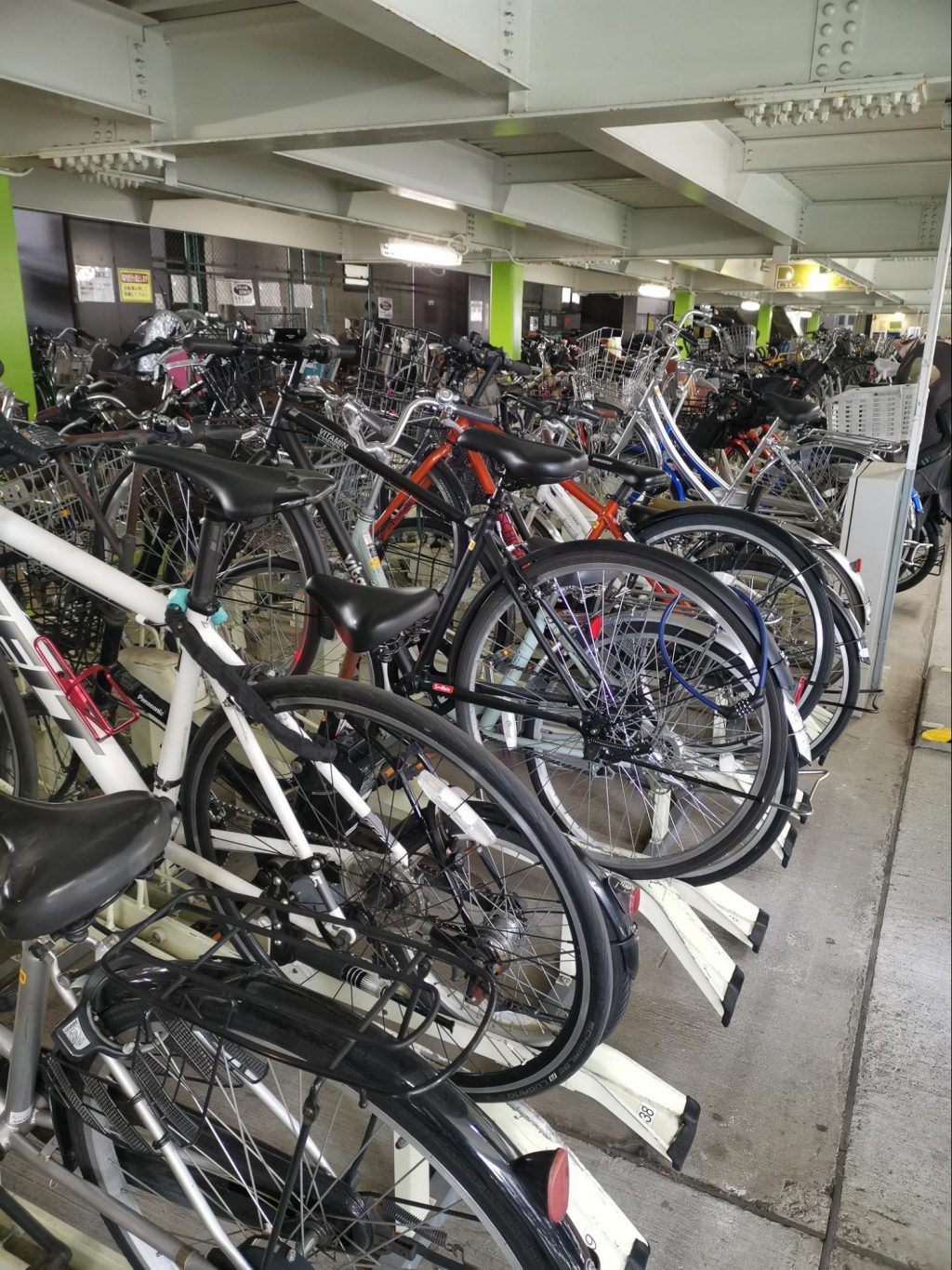 Trying to find my Docomo bike in an ocean of bicycles