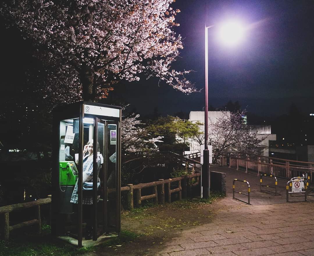 DISTANCING in Tokyo - What You Can Learn About Life in the Shadows / Hanami in the park after dark